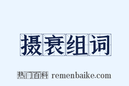 摄衰组词是什么意思的图片